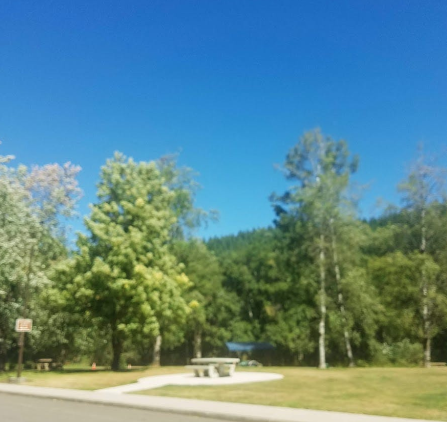 a blurry photo of a reststop landscape. there is a concrete picnic table and bench in the distance surrounded by concrete and mowed grass. There are green trees framed by a bright blue sky.