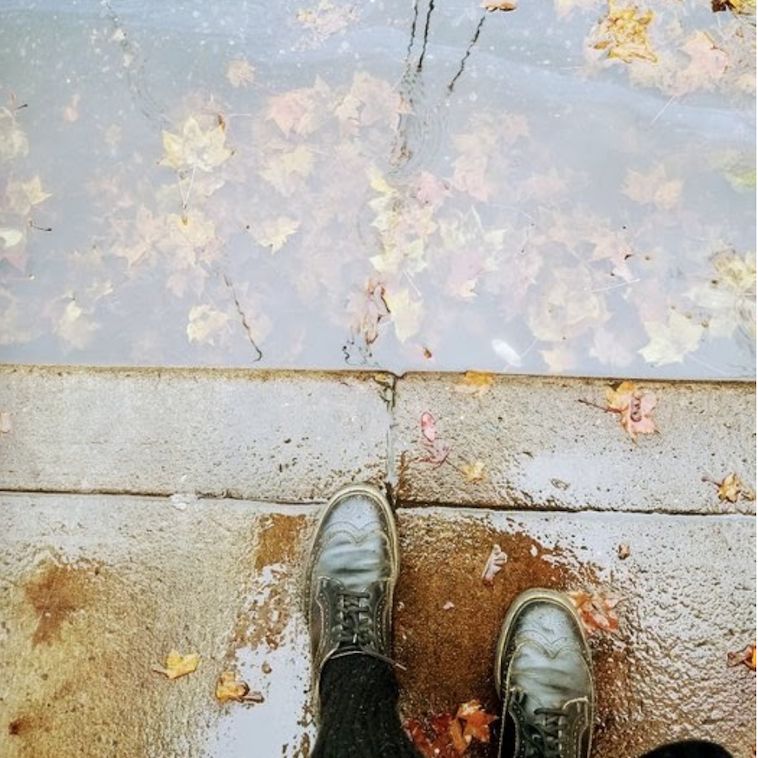 a photo of water and leaves in a guttter. a pair of black shoes are visible in the right side of the photo.